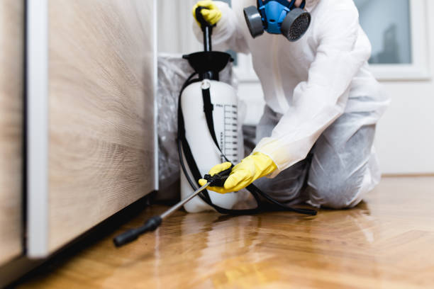 Best Mosquito Control Services  in Allendale, MI