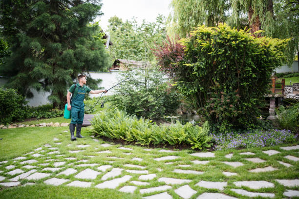 Best Exterminator Services  in Allendale, MI