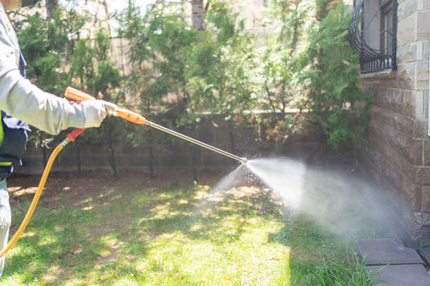 Best Bird Control  in Allendale, MI