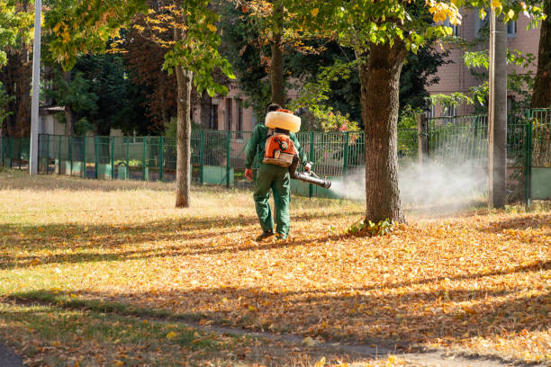 Pest Control Cost in Allendale, MI