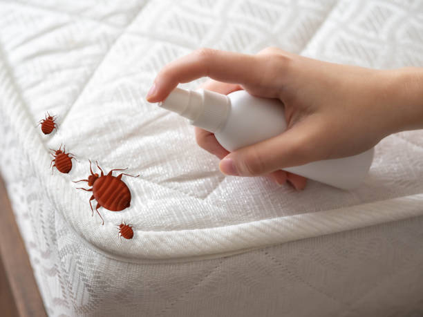 Best Residential Pest Control  in Allendale, MI