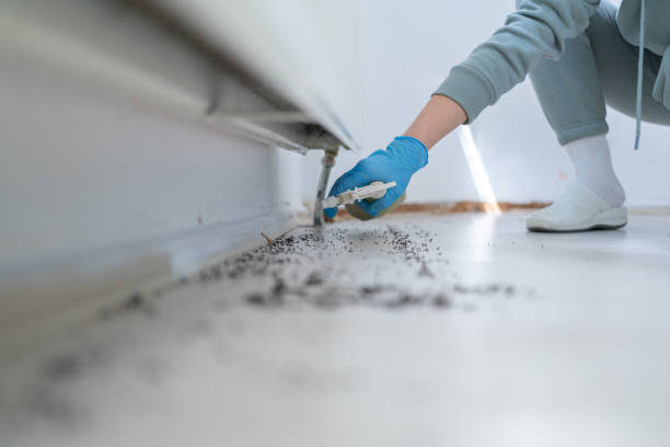 Best Commercial Pest Control Services  in Allendale, MI